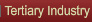 Tertiary Industry