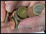 coins