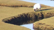 Sheep grazing on coastal flood plain