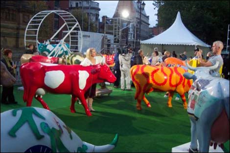 The cows gather in Albert Square