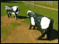 Concrete Cows.
