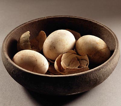 Carbonized Eggs