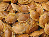 شمارش با خسته