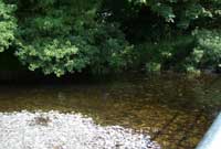 Pwll bedyddio