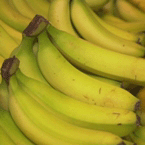 bananastogether.png