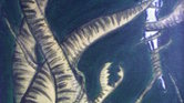 CreatureFromTheDeep...