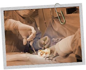 Surgery