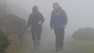 Fog