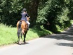 Horse rider