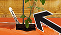Get your Tomatoes growing