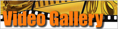 DLT video gallery