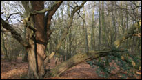 epping_206.jpg