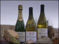 wine bottles