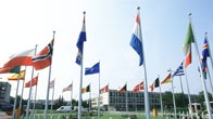 flags