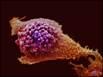 células cancerígenas