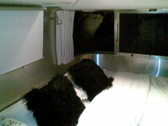 270508_3.jpg
