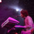 Guillemots