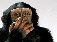 Speak no evil.