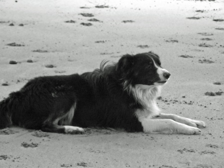 Moto taking a rest