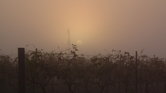 Australian sunrise... Australian sunrise...