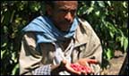 Farmer Ayakay Abduli