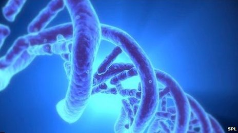 double helix