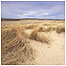Strathbeg c/o RSPB Images and Andy Hay