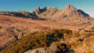 The Cobbler