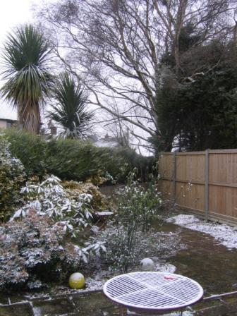 snowd.JPG