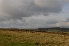 The moors