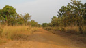 The road north