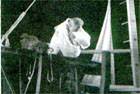 Dyfan Roberts