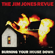 Review of Burning Your House Down 