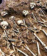 Skeletons