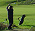 Golff