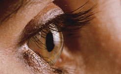 woman's eye