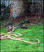 Tug of war rope