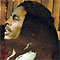 Marley profile