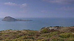 Ynys Enlli