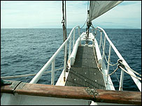 Lord Nelson's bows