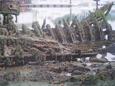 Shipwreck