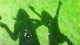 Their Shadows...
