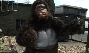 The Mighty Boosh: Dave Brown as Bollo