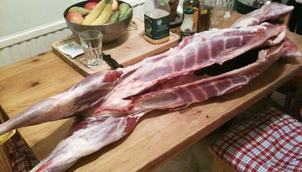 Goat on the table