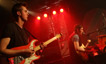 Wild Beasts