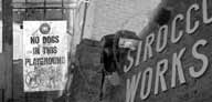 Short Strand photo montage