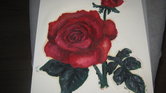 Rose,x