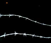 Barbed wire