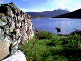 view from the hen pen
