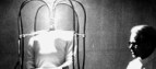 Headless Lady